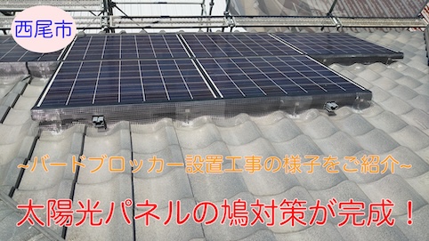 西尾市｜太陽光パネルの鳩対策が完成！バードブロッカー設置工事の様子をご紹介