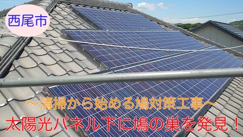 西尾市で太陽光パネル下に鳩の巣を発見！清掃から始める鳩対策工事