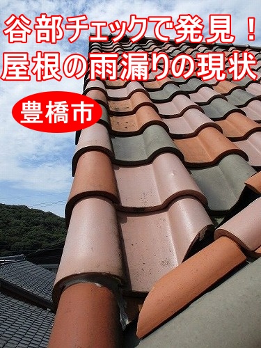 豊橋市｜谷部チェックで発見！S瓦葺き屋根の雨漏りの現状