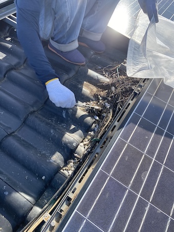 豊橋市　防鳥ネット設置　鳥の巣　屋根　太陽光パネル　ソーラー　雨樋　清掃