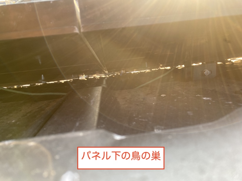 岡崎市　鳥の巣　パナソニック　太陽光パネル　ソーラーパネル