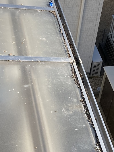 豊橋市　長州産業　太陽光パネル　鳥の巣　鳩　フン害