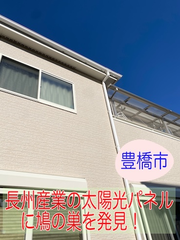 豊橋市にて長州産業の太陽光パネルに鳩の巣が！創業５０年の地元屋根工事店が調査、対策をご提案しました