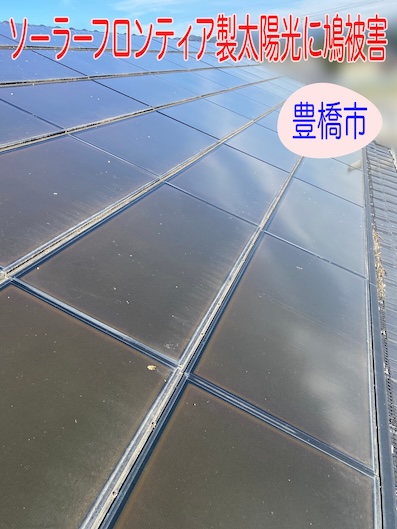 豊橋市 ソーラーフロンティア製太陽光に鳩被害？14年後の実態と防鳥対策