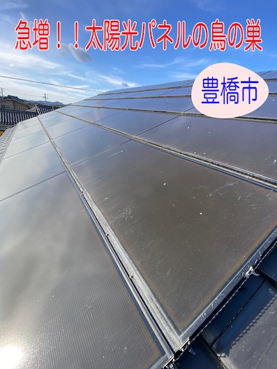 豊橋市で太陽光パネル鳥の巣対策｜バードブロッカー施工の流れを解説