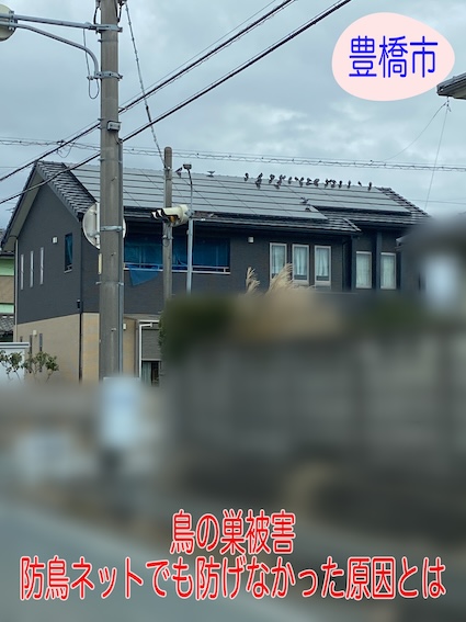 豊橋市　瓦屋根の太陽光パネルに鳩が…防鳥ネットでも防げなかった原因とは？