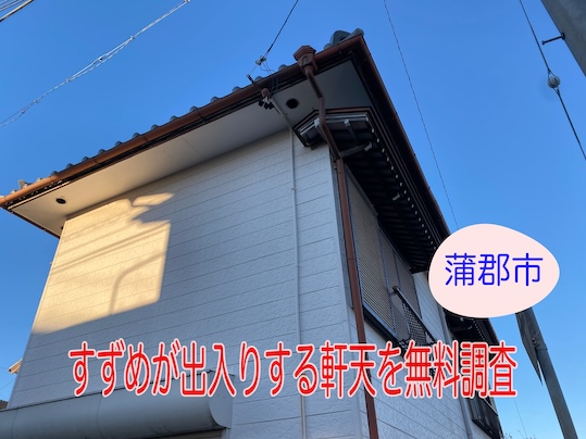 蒲郡市ですずめが出入りする軒天を調査、衛生面への影響も心配です