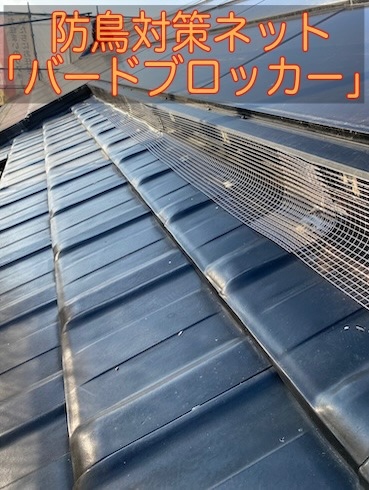 岡崎市　防鳥ネット　鳥の巣　対策　ステンレス　バードブロッカー　鳩　ソーラーパネル　屋根　太陽光