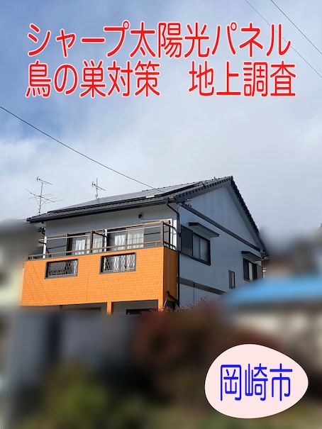 岡崎市｜太陽光パネルに鳥の巣？被害を地上から調査。実際に行う工事内容もご紹介します。