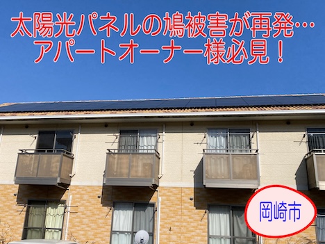 岡崎市｜太陽光パネルの鳩被害が再発…アパートオーナー様必見の根本対策とは