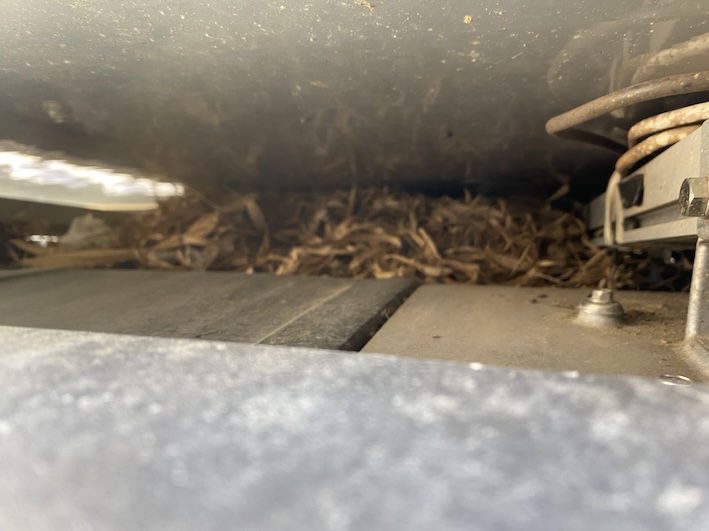 新城市　太陽光　パネル　鳥の巣　被害　ふん　地上　対策　調査