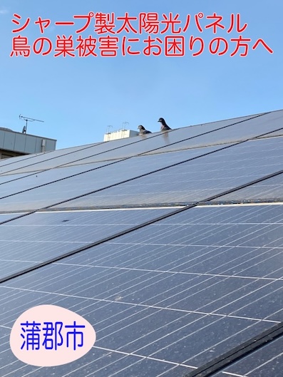 蒲郡市｜シャープ太陽光下の鳥の巣被害点検調査、健康被害に不安の方必見です！
