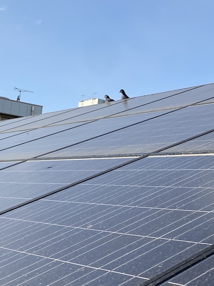 蒲郡市　太陽光パネルの鳩の巣フン害でバードブロッカーの設置をご依頼いただいたO様