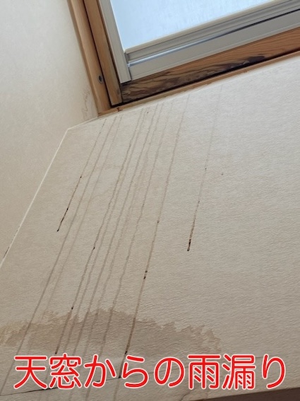 天窓 雨漏り 室内 シミ 修理
