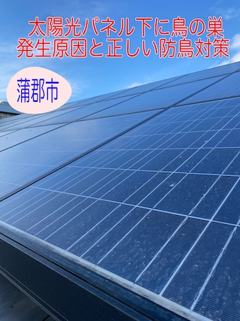 蒲郡市　太陽光パネル下に鳥の巣ができる原因４つと正しい防鳥対策を専門店が解説