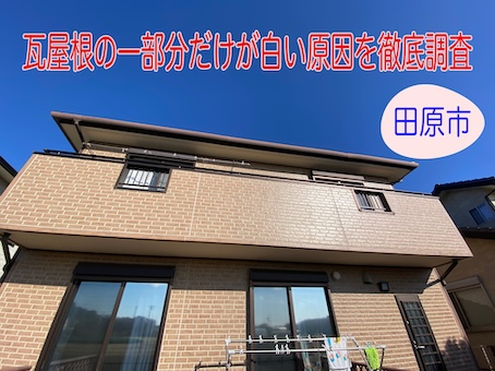 田原市｜瓦屋根の一部分だけが白い原因の調査依頼、補修用防水テープの変色でした