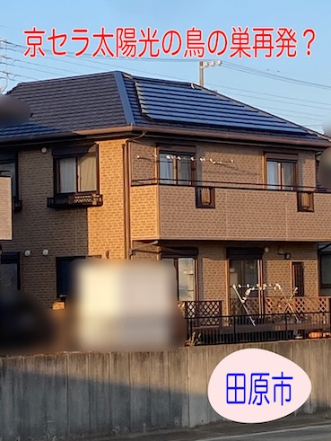 田原市｜京セラ太陽光の鳥の巣再発？早期点検で被害拡大を阻止！