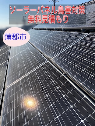 蒲郡市でソーラーパネルの鳥害を無料調査でお見積もり、未然に防ぐための防鳥対策の重要性をご紹介