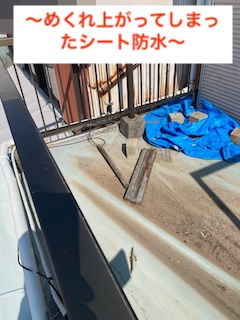 めくれ上がったシート防水の確認