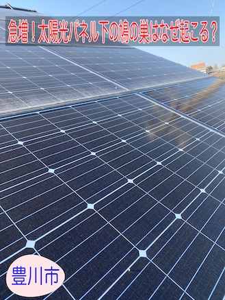 豊川市で急増！太陽光パネル下の鳩の巣はなぜ起こる？原因と対策を専門店が解説します