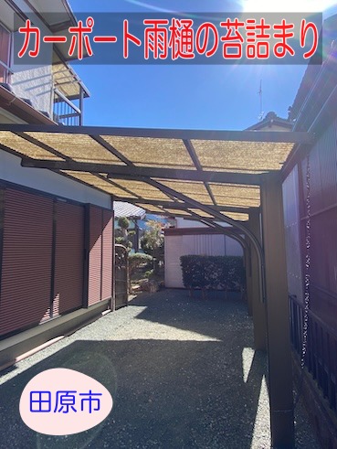 田原市｜カーポート雨樋の苔詰まり　排水不良の原因を調査