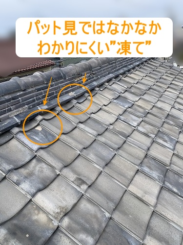 瓦　凍て　色褪せ