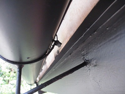 軒裏側から見える剥がれ跡