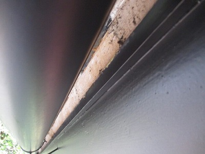 瓦屋根　軒先　漆喰　剥がれ　雀口