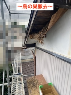 豊橋市　軒天補修　鳥の巣　板金カバー