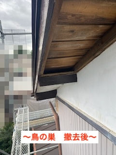 豊橋市　軒天補修　鳥の巣　板金カバー