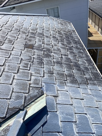 ナショナル　アルデージュ 　コケ　色褪せ