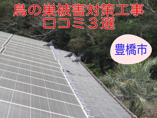 豊橋市で行った太陽光パネル鳥の巣対策　口コミ評価３選　