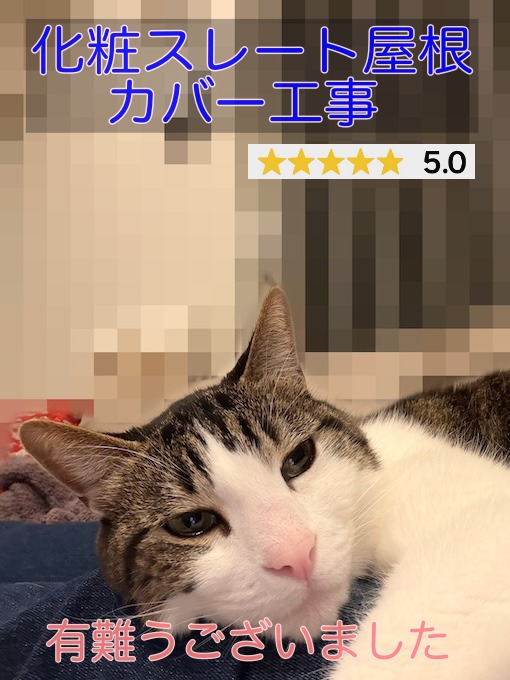 豊橋市で雨漏りのひどかった化粧スレート屋根のカバー工事をご依頼いただいたK様