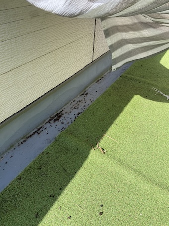 ベランダ　ふん　被害　はと