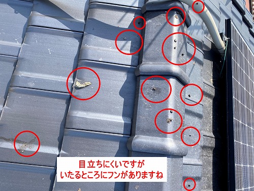 蒲郡市　太陽光パネル　フン被害　鳥の巣　防鳥対策