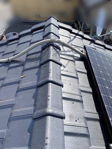 蒲郡市　太陽光パネ蒲郡市　太陽光パネル　フン被害　鳥の巣　防鳥対策ル　フン被害　鳥の巣　防鳥対策