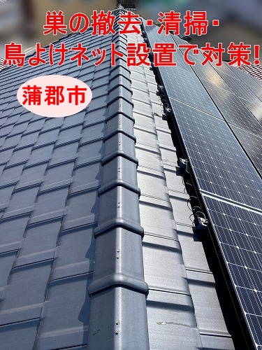 蒲郡市｜ハト被害を繰り返さないための対策とは？巣の撤去・清掃・鳥よけネット設置と屋根点検についてチェック！