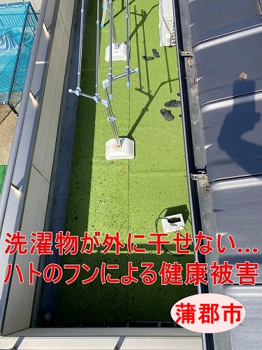 蒲郡市｜洗濯物が外に干せない…屋根から落ちてくるハトのフンによる健康被害と屋根へのダメージリスクを公開