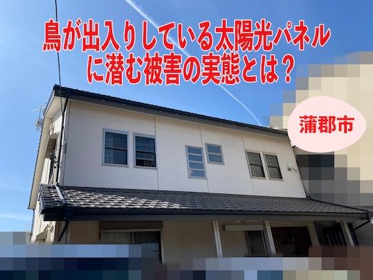 蒲郡市｜鳥が出入りしている太陽光パネルに潜む被害の実態とは？ベランダが使えない原因と巣ができる理由まで詳しく解説