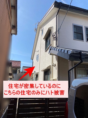 蒲郡市　太陽光パネ蒲郡市　太陽光パネル　フン被害　鳥の巣　防鳥対策ル　フン被害　鳥の巣　防鳥対策