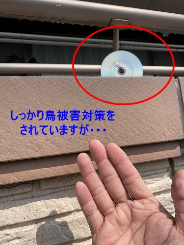 太陽光パネル　豊橋市　鳥の巣　パネル下　清掃