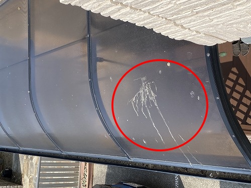 太陽光パネル　豊橋市　鳥の巣　パネル下　清掃