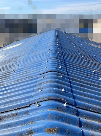 大波スレート　棟　雨漏り　倉庫