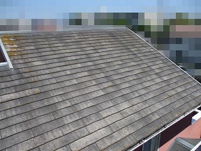 岡崎市にて塗膜の劣化したカラーベスト屋根を調査、棟部分では苔が目立ちました