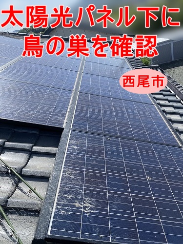 西尾市で太陽光パネル下に鳥の巣を確認、ベランダへの糞被害で屋根調査を行いました