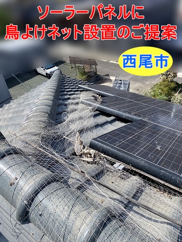 西尾市でソーラーパネルの鳥よけ対策◇ バードブロッカー設置と雨樋清掃をご提案しました