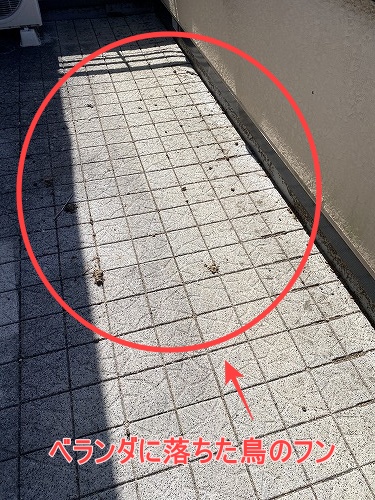 鳥の巣　防鳥対策　太陽光パネル　西尾市