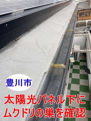 豊川市でソーラーパネル下にムクドリの巣を確認、ベランダへ鳥のフンが落ちるお悩みをもとに屋根調査を行いました