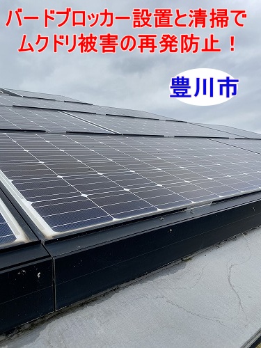 豊川市 Panasonic太陽光パネル下の鳥害対策をご提案、バードブロッカー設置と清掃でムクドリの侵入路を遮断！