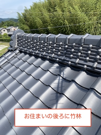 雨樋　詰まり　竹林　落ち葉